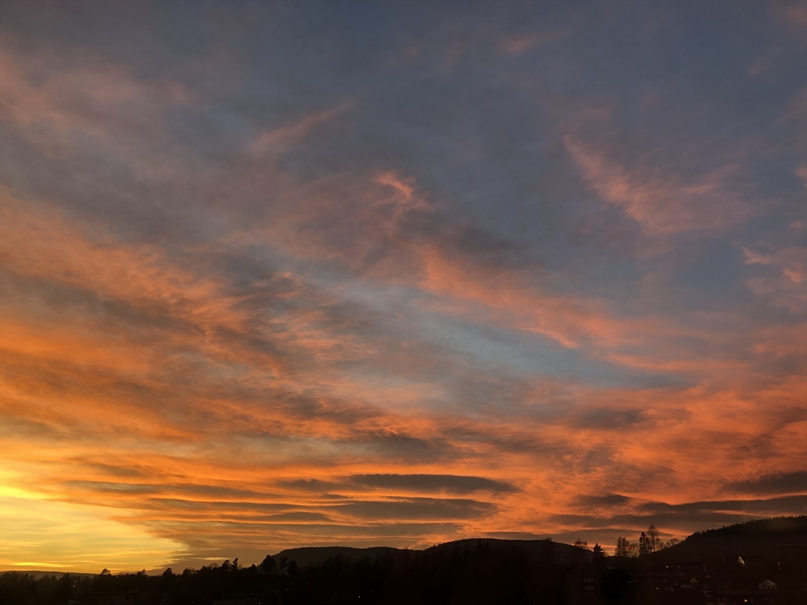 Selgers egne bilder Galleribilde