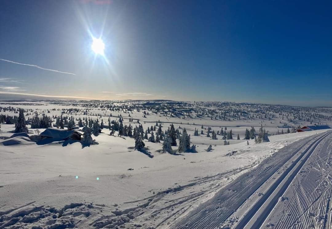 Sjusjøen byr på noe av det beste løypenettet som finnes. Milevis med topp preparerte løyper tilgjengelig. Fra selgers private arkiv. Galleribilde