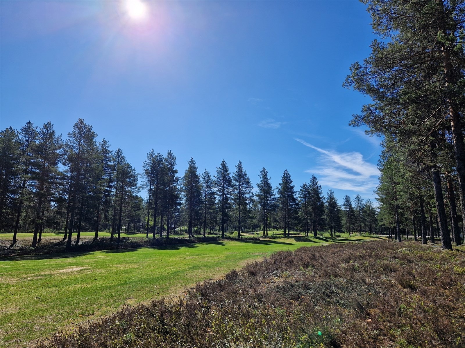 Golfbane Galleribilde