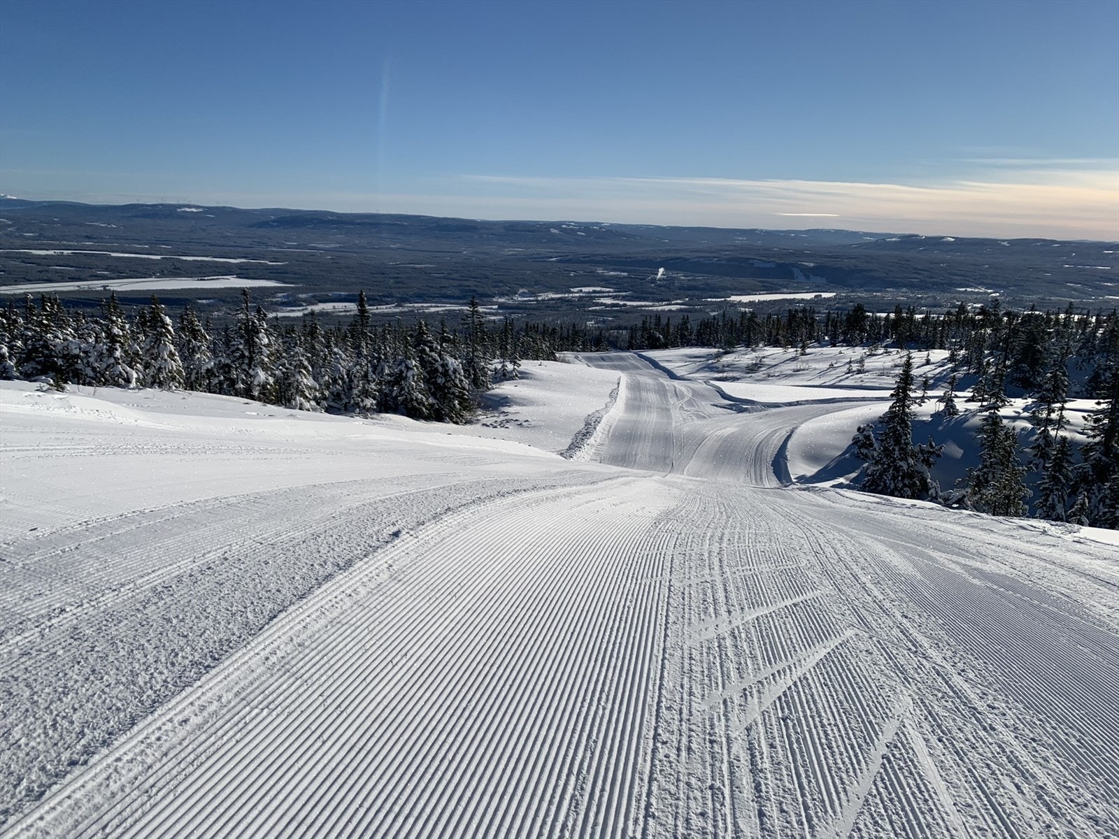 Selgers egne bilder Galleribilde