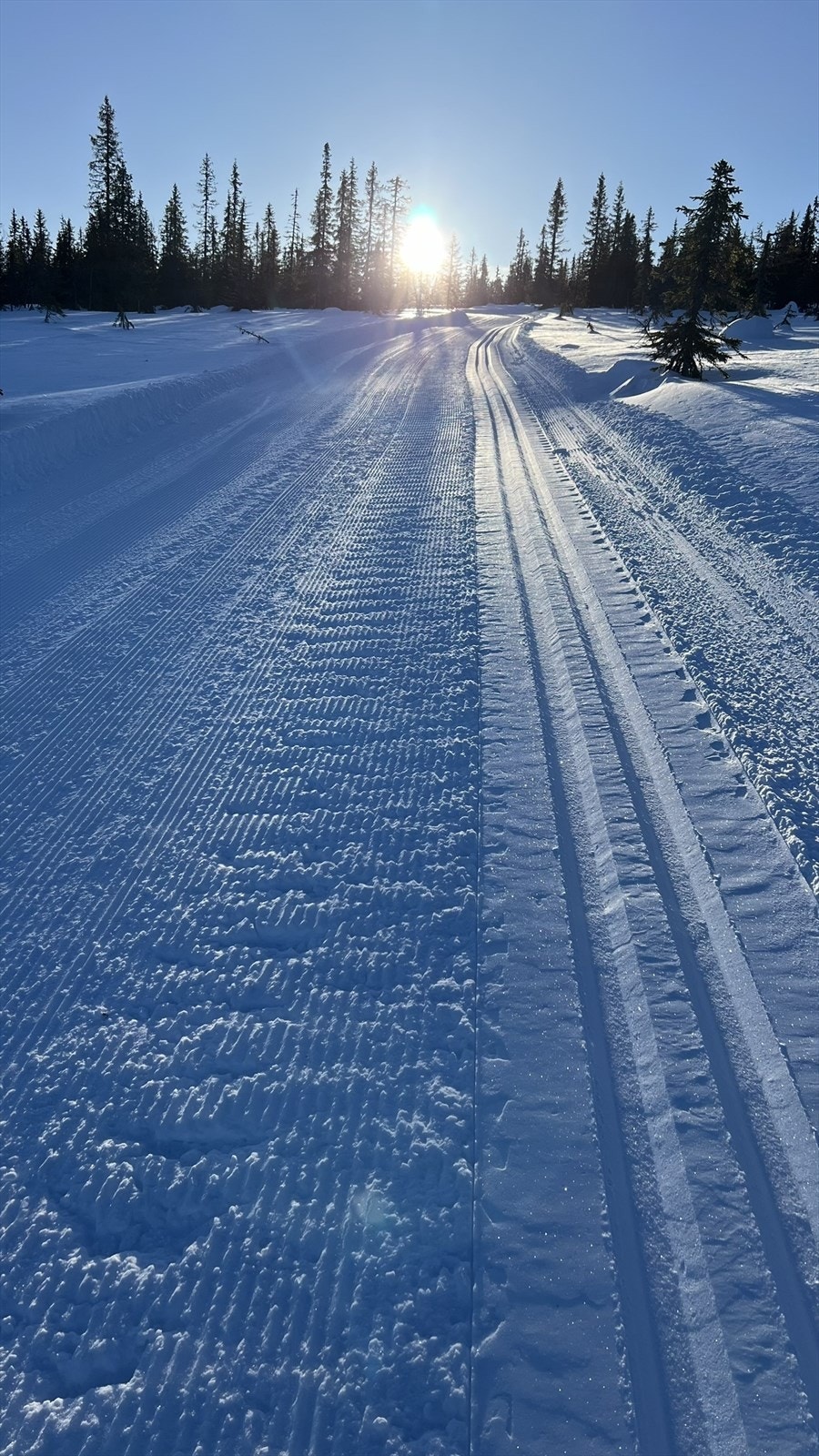 Selgers egne bilder Galleribilde