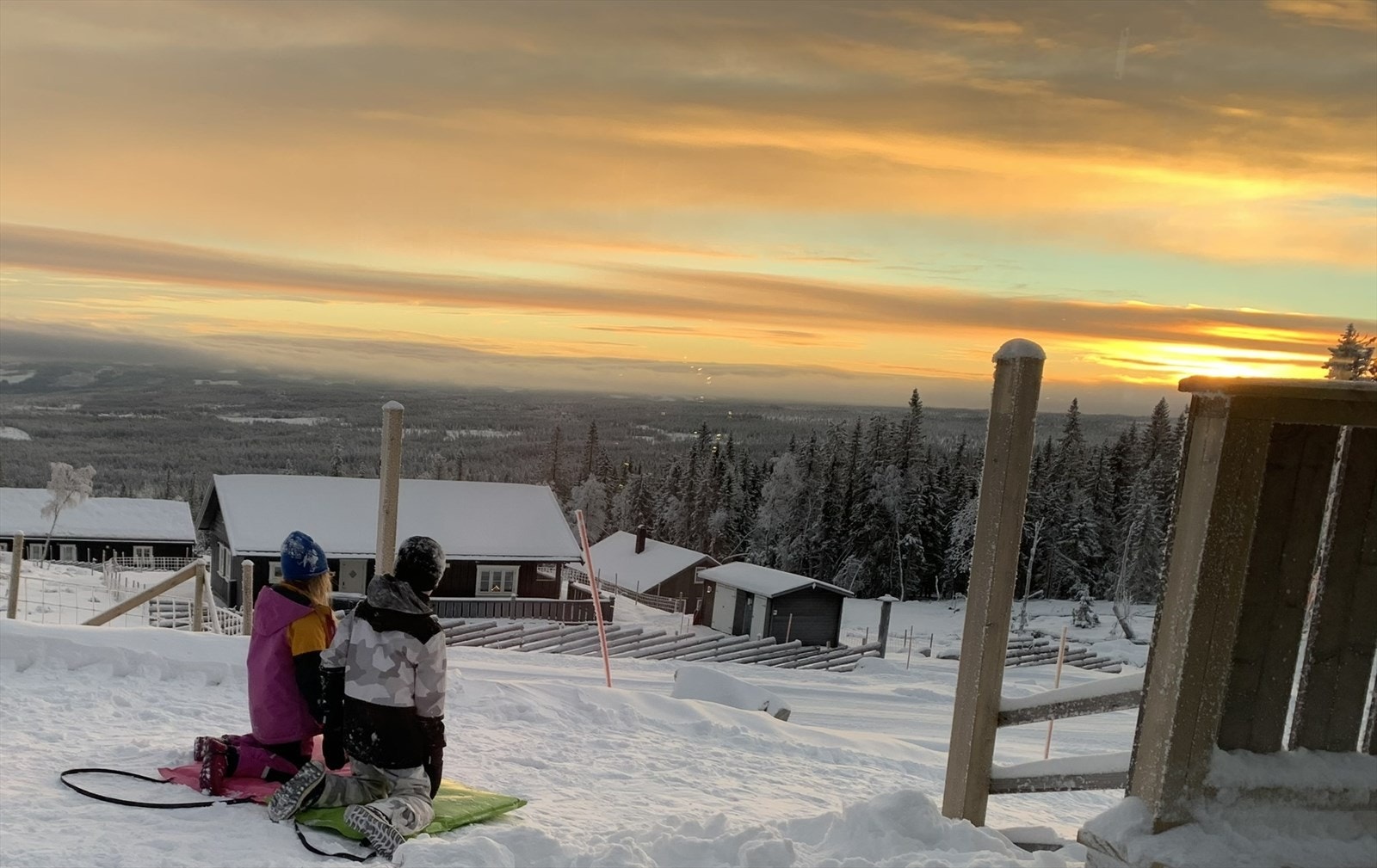 Selgers egne bilder Galleribilde