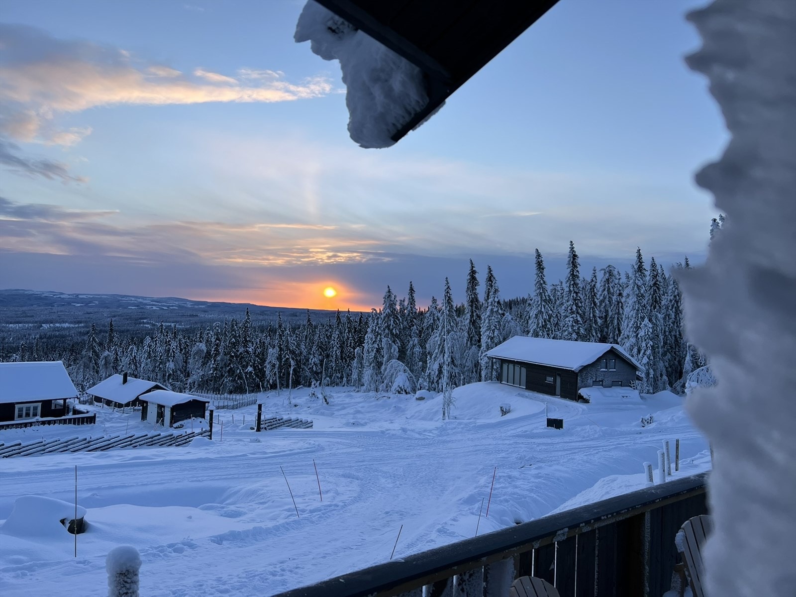 Selgers egne bilder Galleribilde