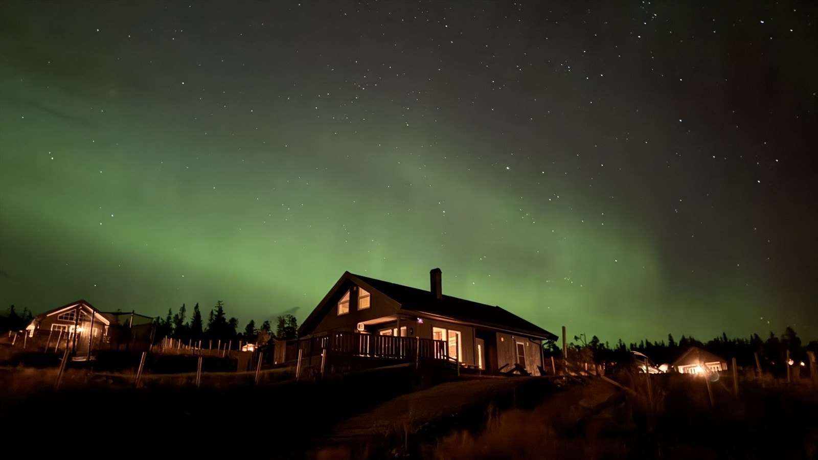 Selgers egne bilder Galleribilde