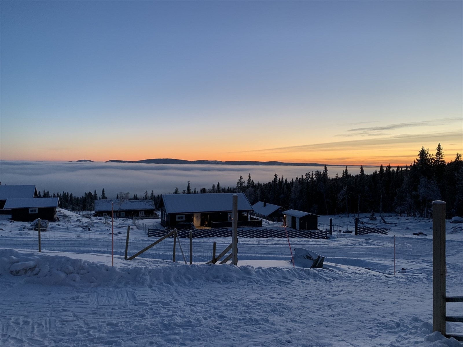 Selgers egne bilder Galleribilde