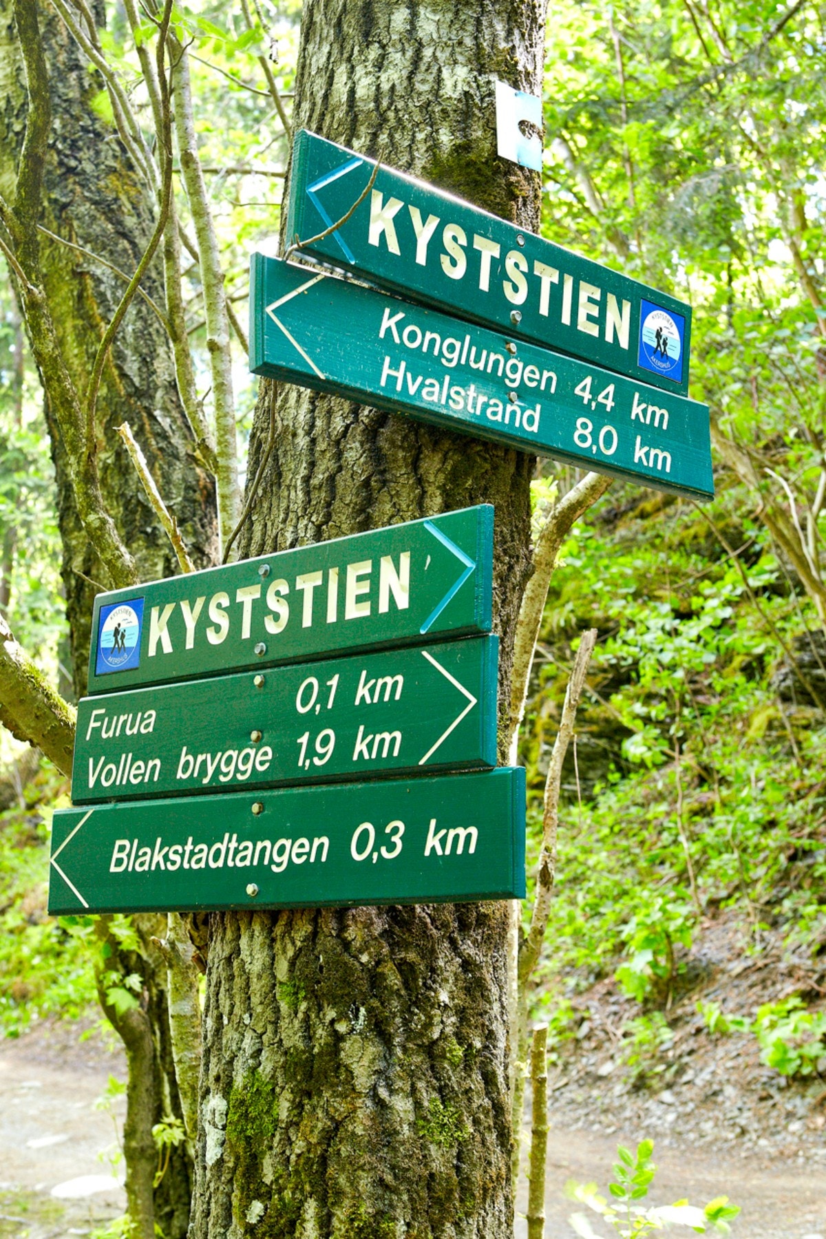 Ned mot Blakstad finner man kystien som går fra Holmen og ut til Sætre. Galleribilde