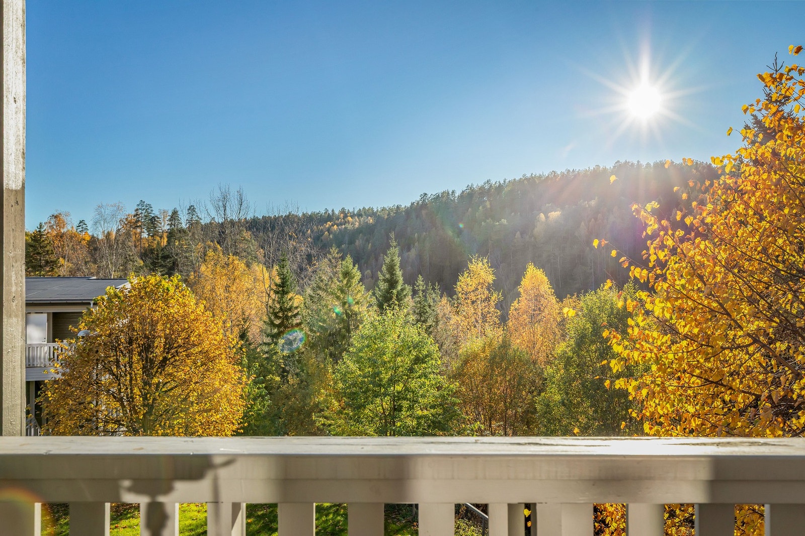 Nyt utsikt over grønne omgivelser. Galleribilde