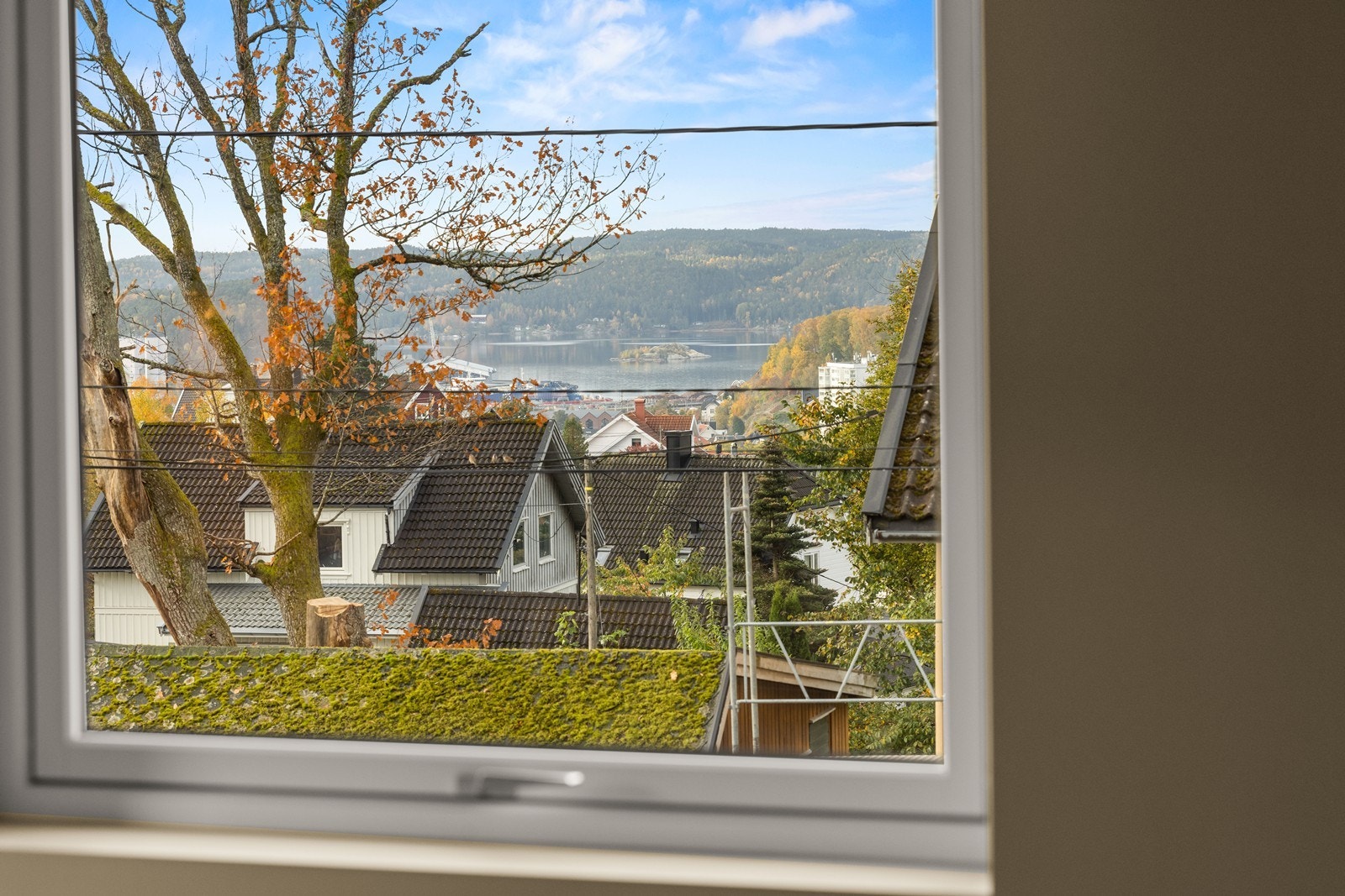 Utsikt. Galleribilde