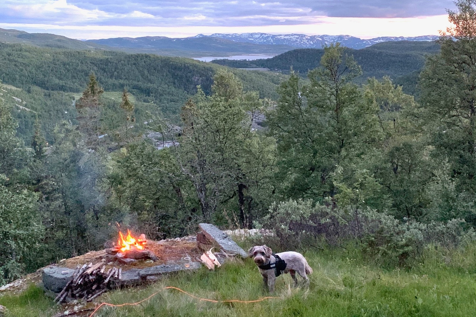 Utsikt fra bålplassen foran hytta Galleribilde