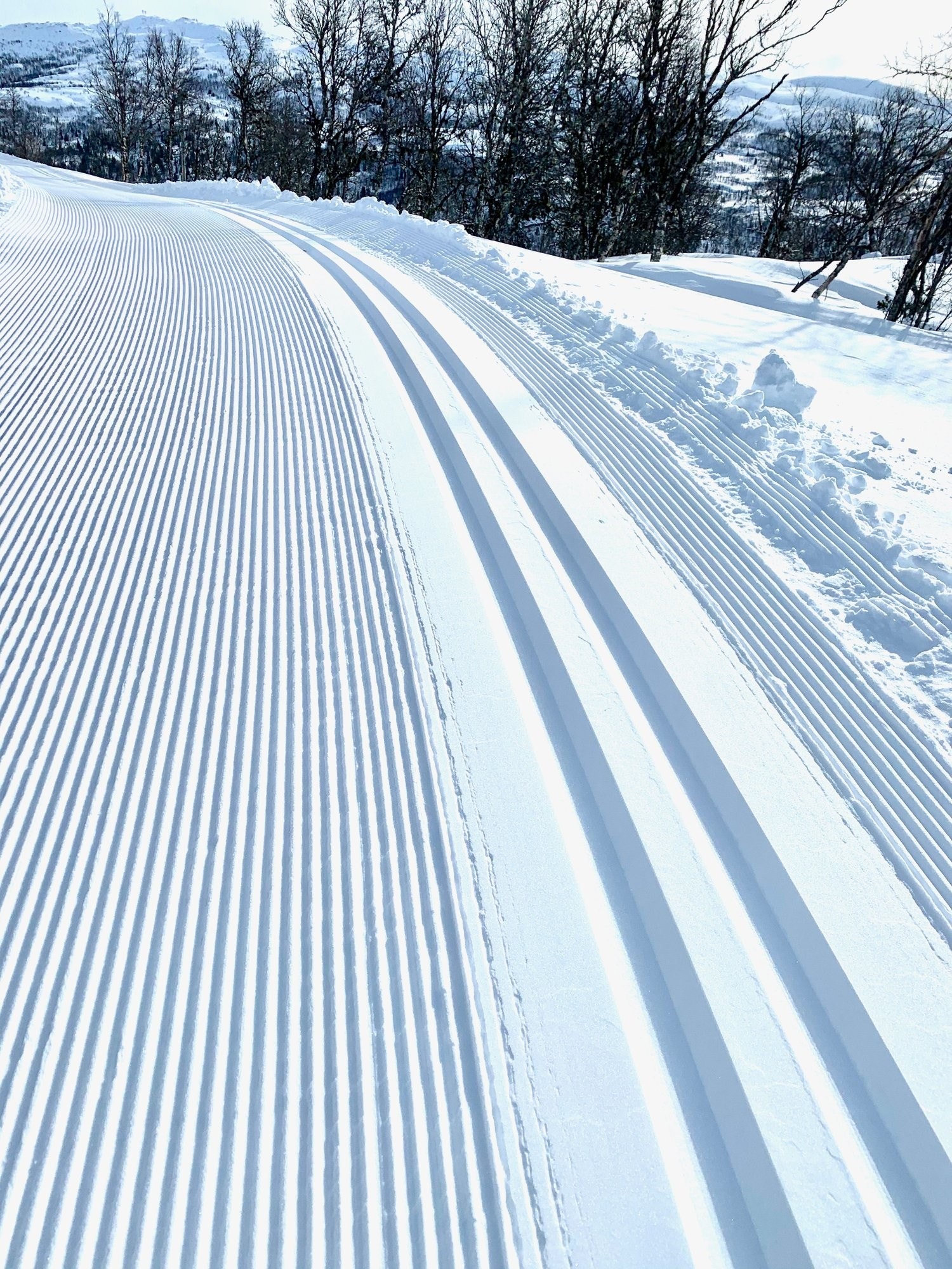 Hyldalsveien er skiløype om vinteren Galleribilde