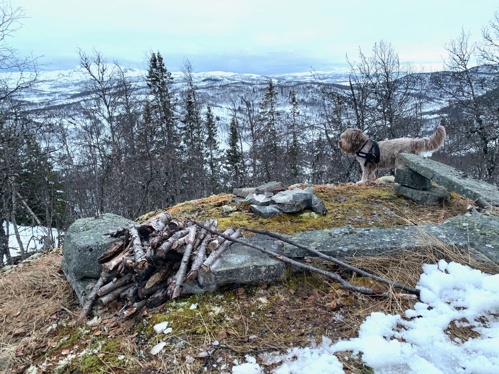 Bålplassen foran hytta Galleribilde