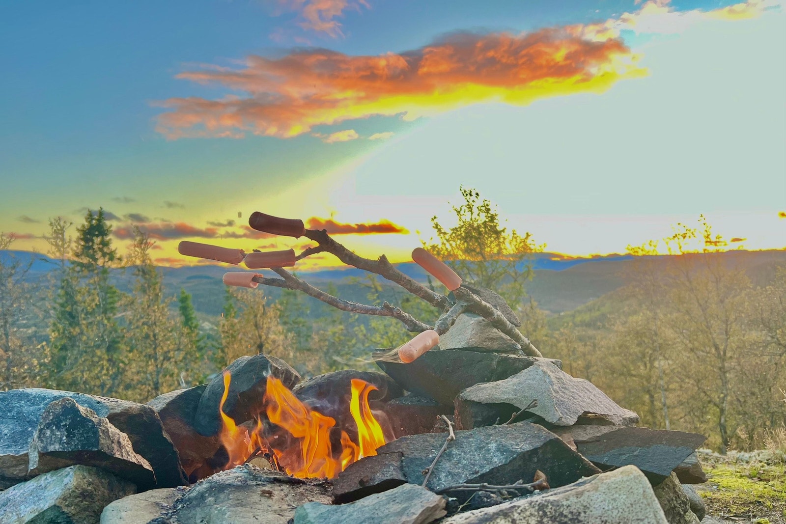 Peiskos på egen eiendom. Galleribilde