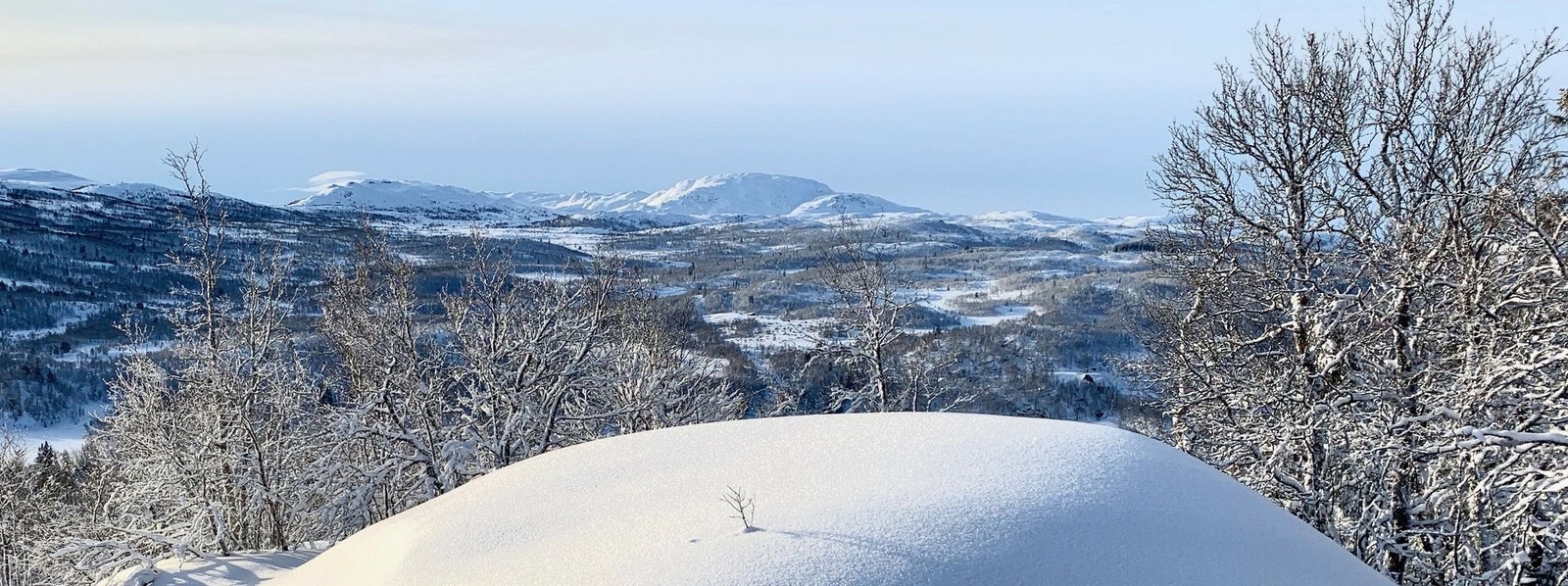 Utsikt fra eiendommen. Galleribilde