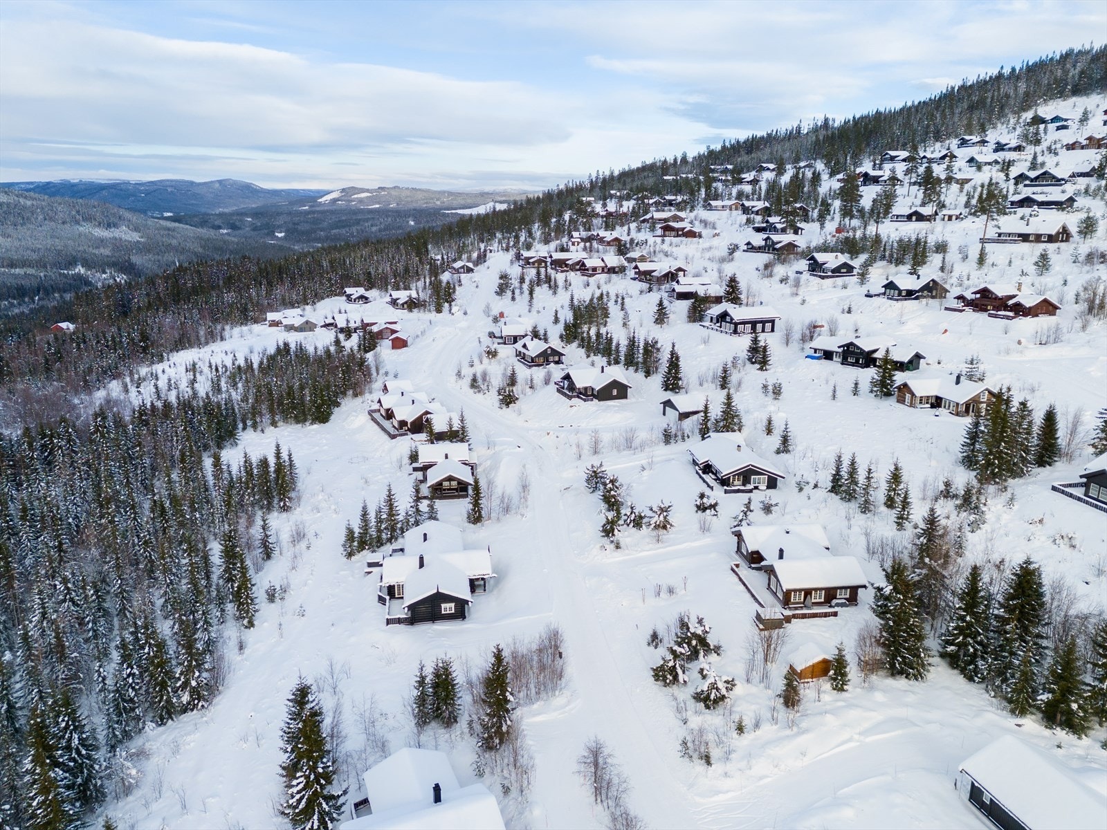 Umiddelbar nærhet til naturen og fine turområder. Galleribilde