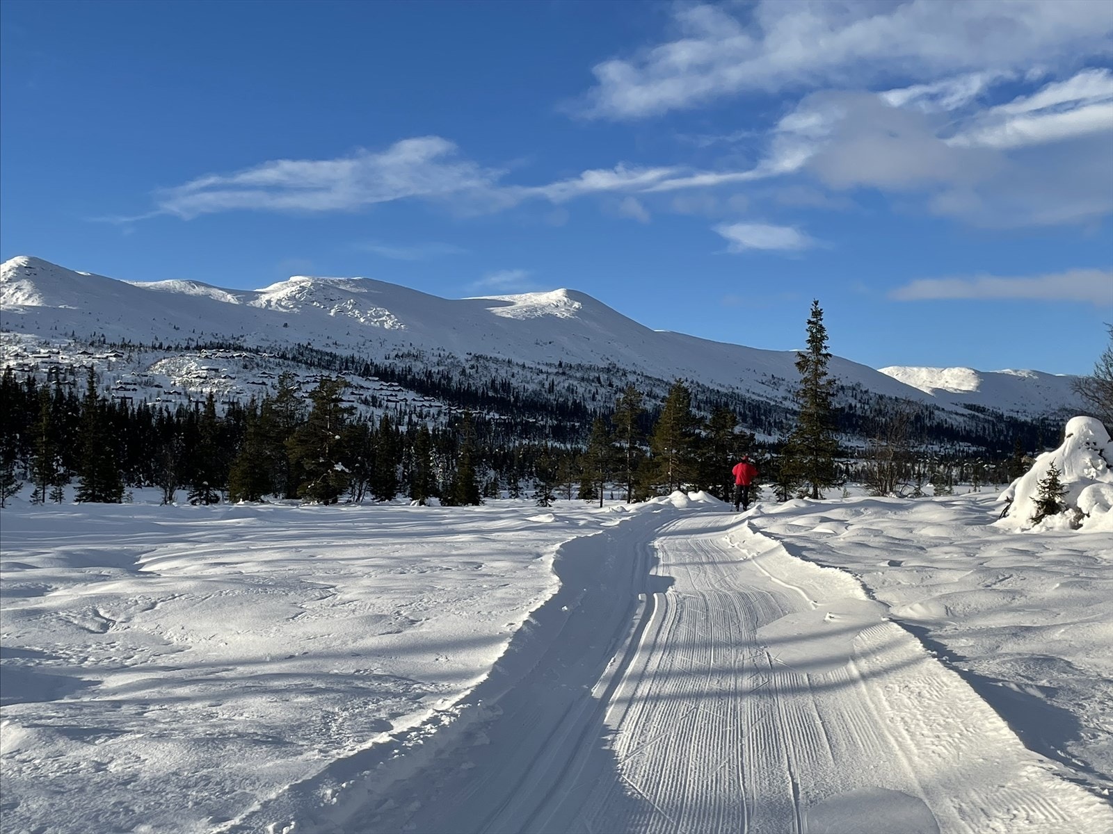 Flott langrennsterreng! Selgers egne bilder Galleribilde