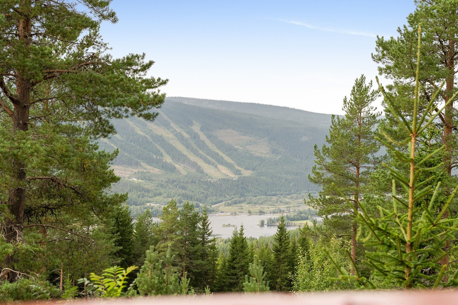 Naturskjønn utsikt over skogkledde åser, mot Trysilelva og majestetiske Trysilfjellet. Galleribilde