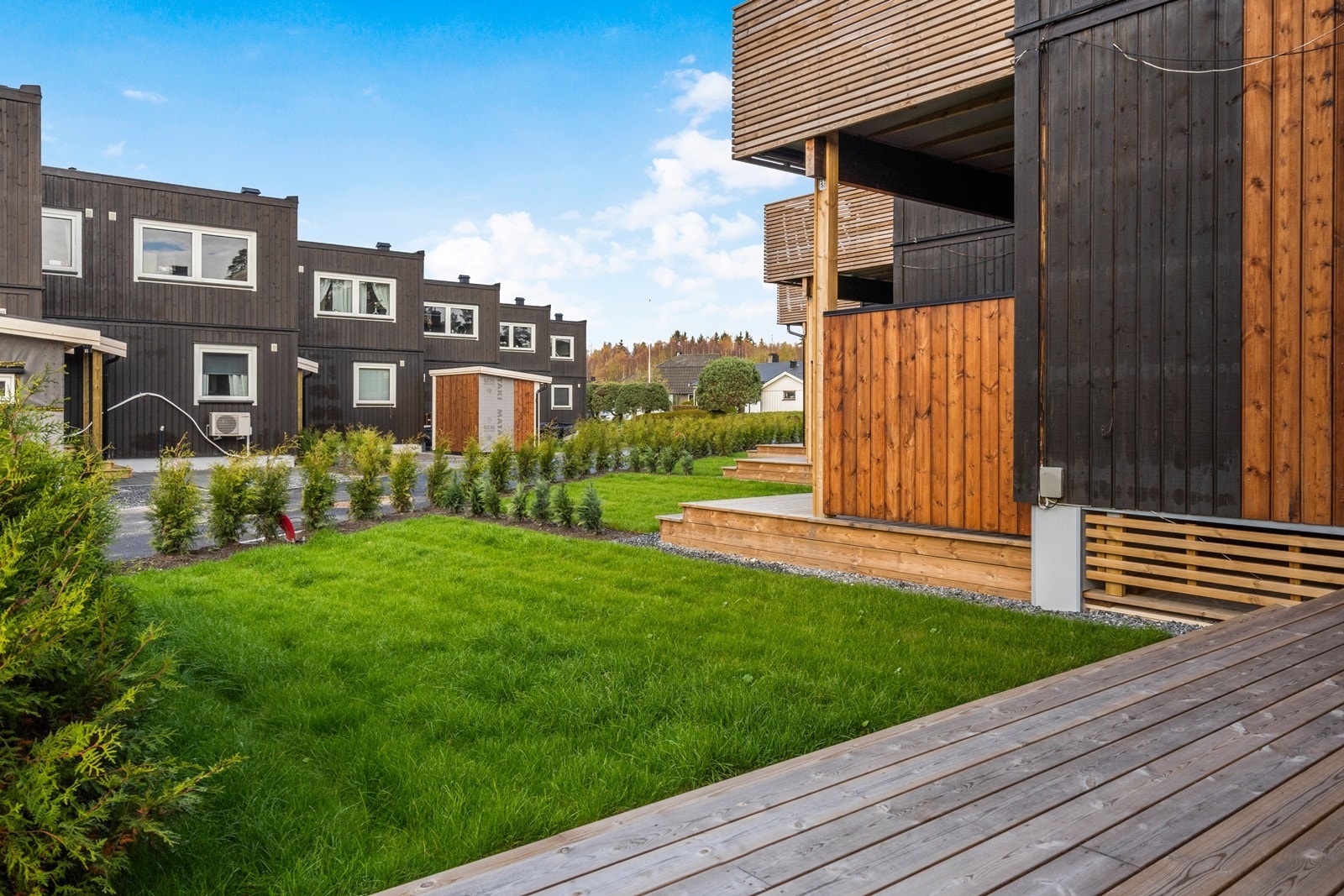 Samt en gressplen med thuja hekk rundt Galleribilde