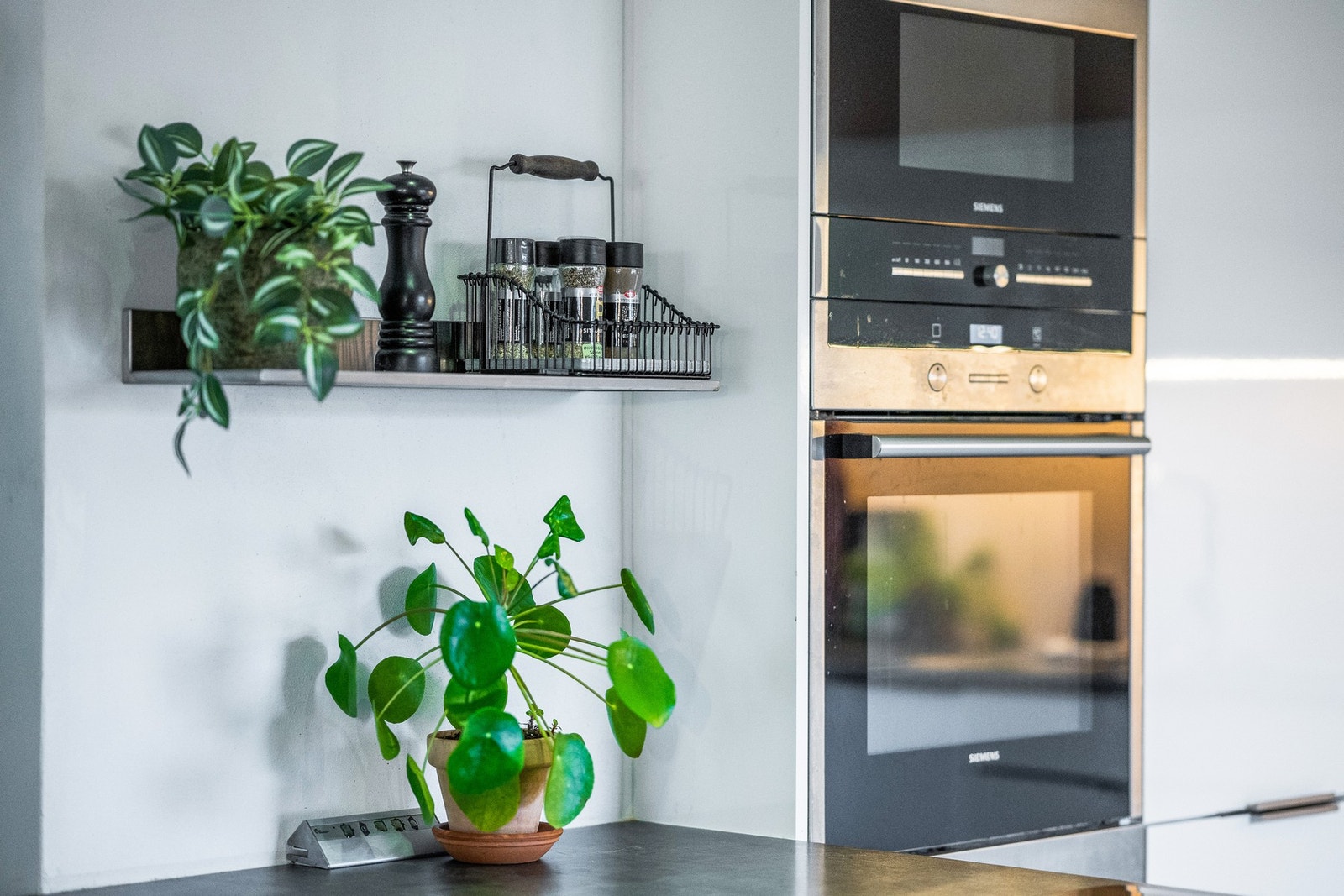 Mer krydder og planter på Meny som ligger i passe rusleavstand fra kjøkkenet Galleribilde