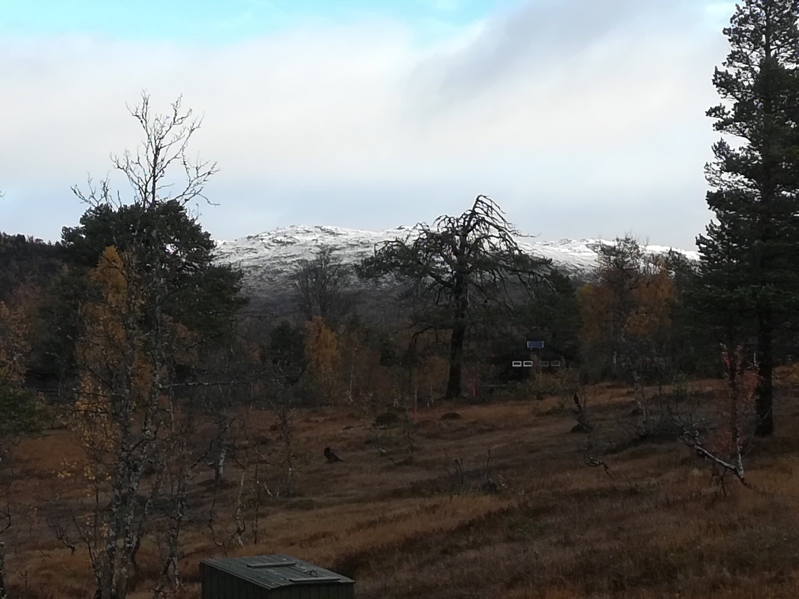 Private bilder Galleribilde