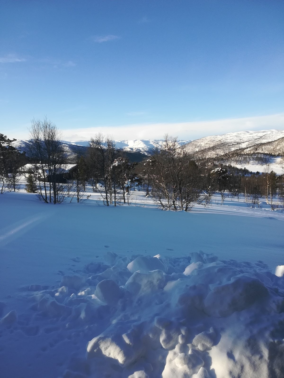 Private bilder Galleribilde