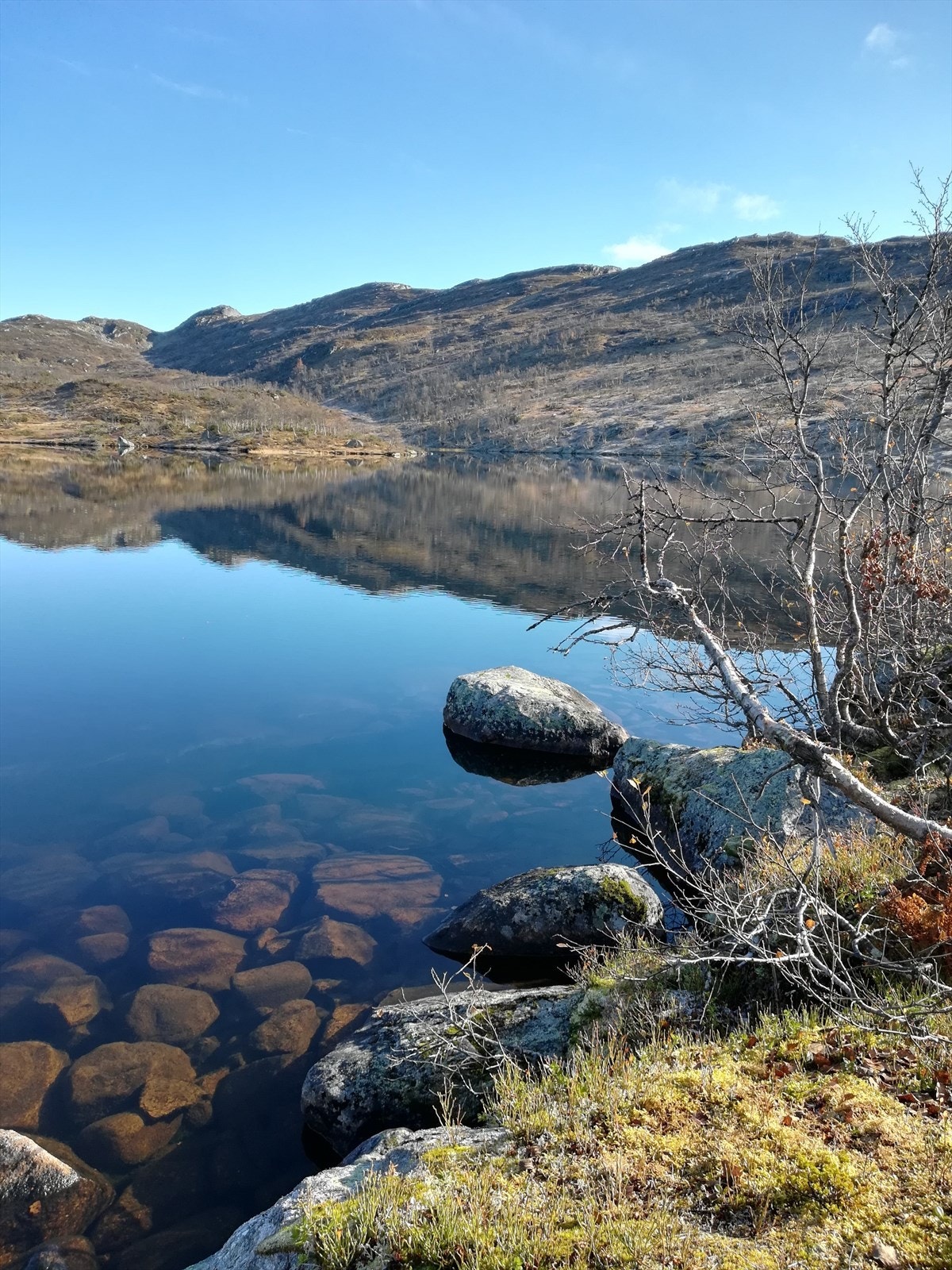 Private bilder Galleribilde