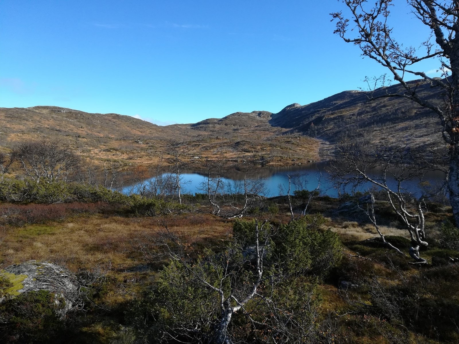 Private bilder Galleribilde