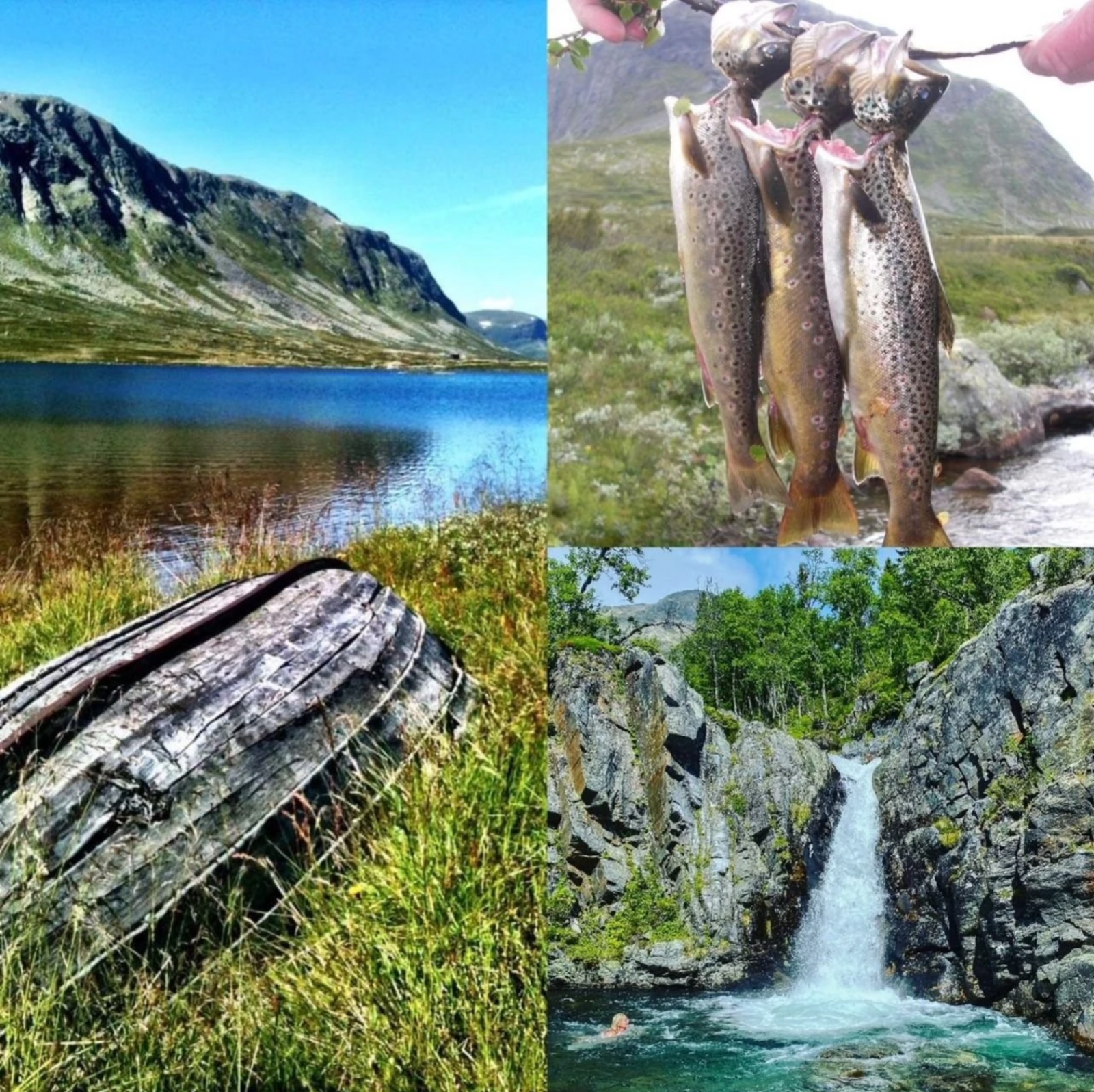 Her kan du fiske i vann som Slettevatn og Heimdretjern, hvor fiskekort kan kjøpes hos Bjøberg Høgfjellsgard. Galleribilde