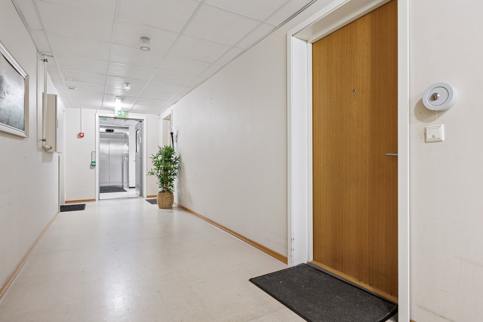 Felles gang Galleribilde