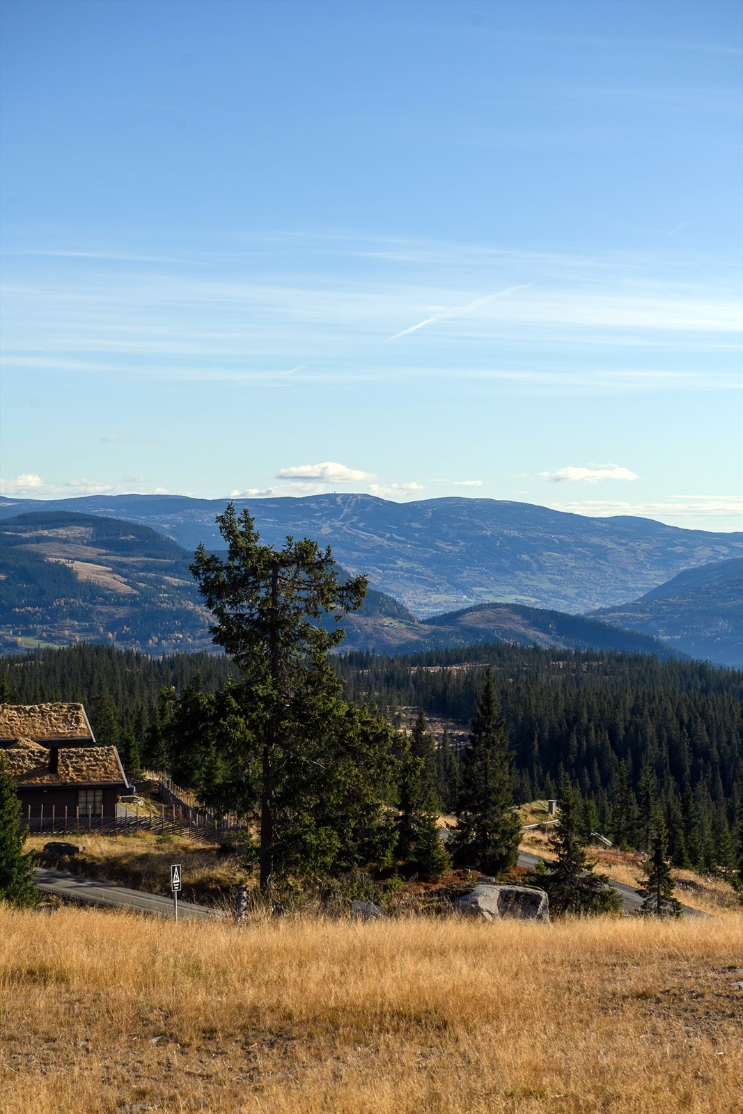 Umiddelbar nærhet til skiløype, løypa er nærmeste nabo til tomta. Galleribilde