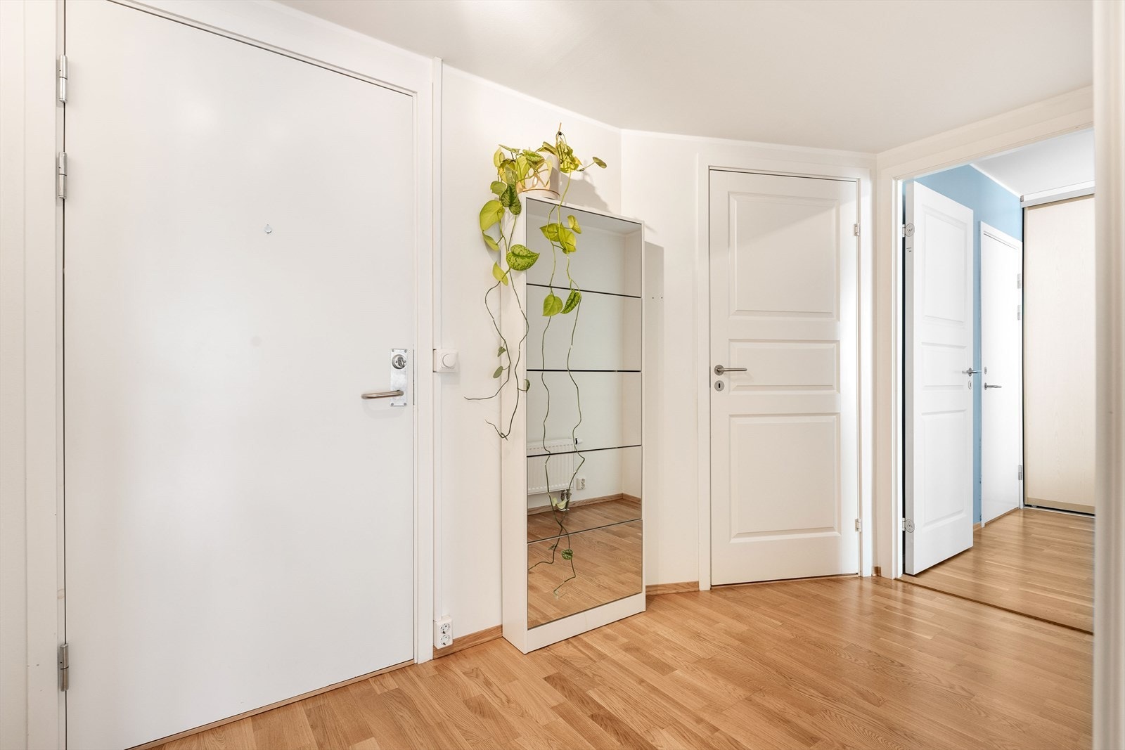 Romslig entré med god plass til å henge og sette fra seg yttertøy. Galleribilde