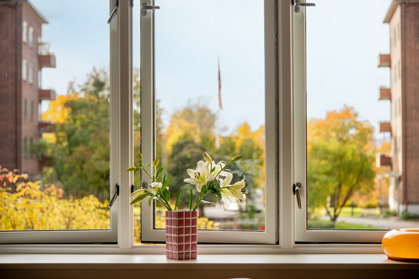 De store vinduer slipper inn rikelig med dagslys og gir en lun og åpen atmosfære. Galleribilde