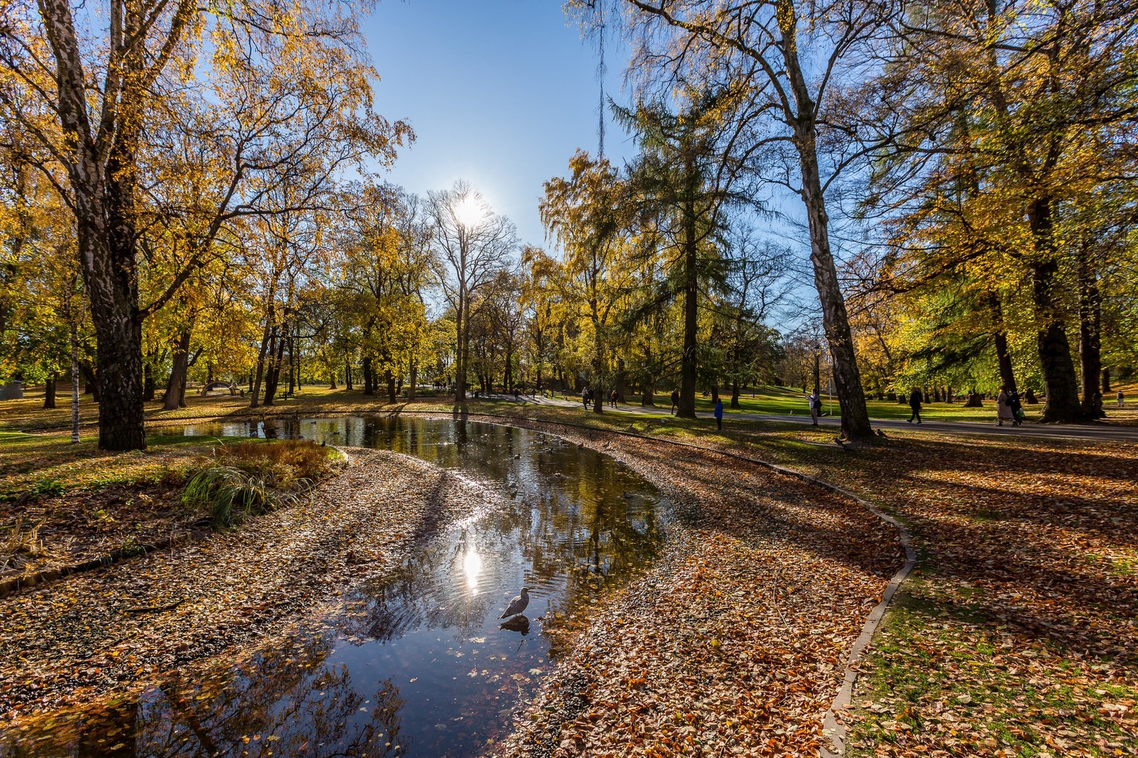 Hyggelige turområder i nærområdet. Galleribilde