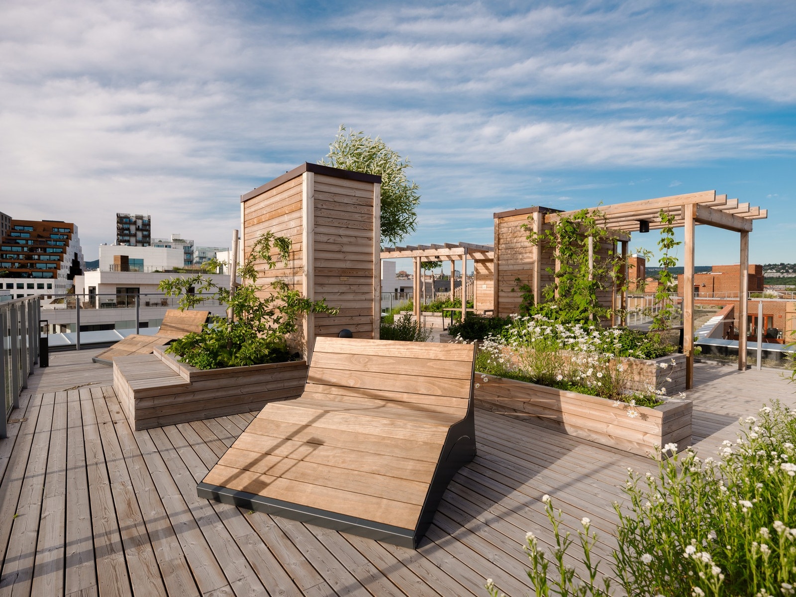 Felles takterrasse. Galleribilde