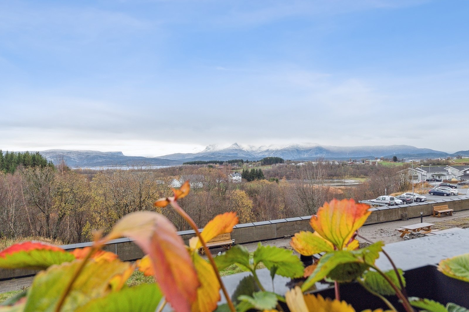 Utsiktsglimt. Galleribilde