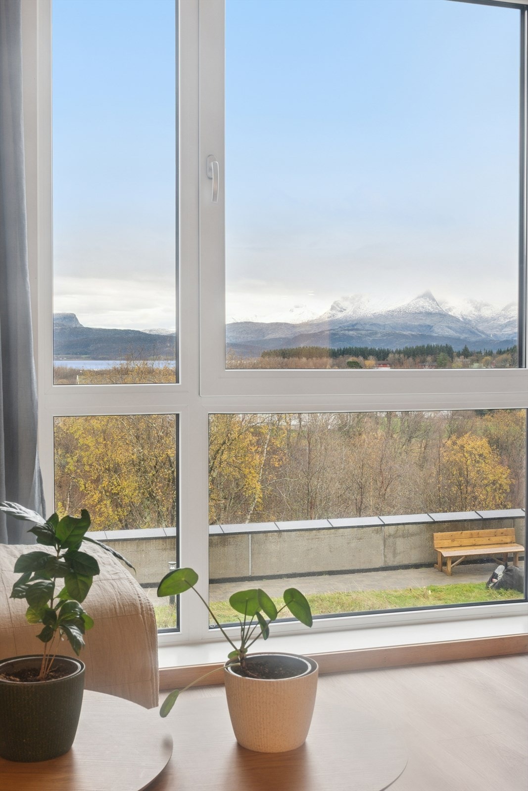 Velkommen til en trivelig visning! Galleribilde