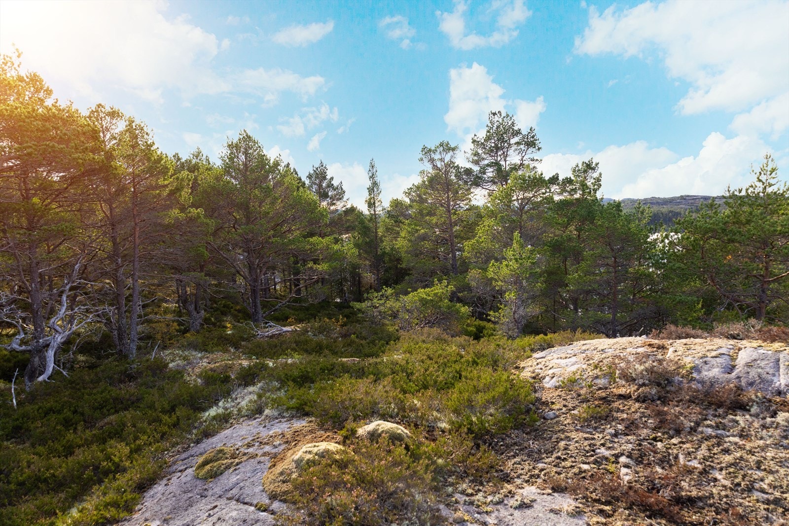 Ta kontakt med megler ved interesse! Galleribilde