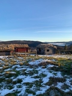 Selgers egne bilder - Marsjølia seter Galleribilde