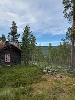 Hytte Savalen Galleribilde