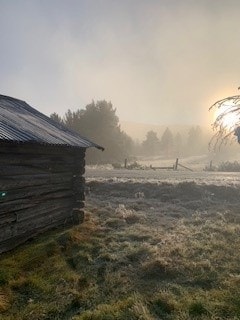 Hytte Savalen båtnaust Galleribilde