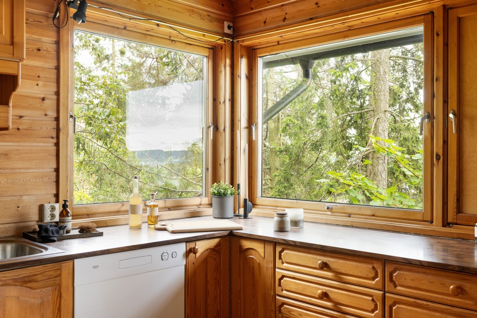 Hyggelig utsyn mot naturen rundt og utsikt Galleribilde