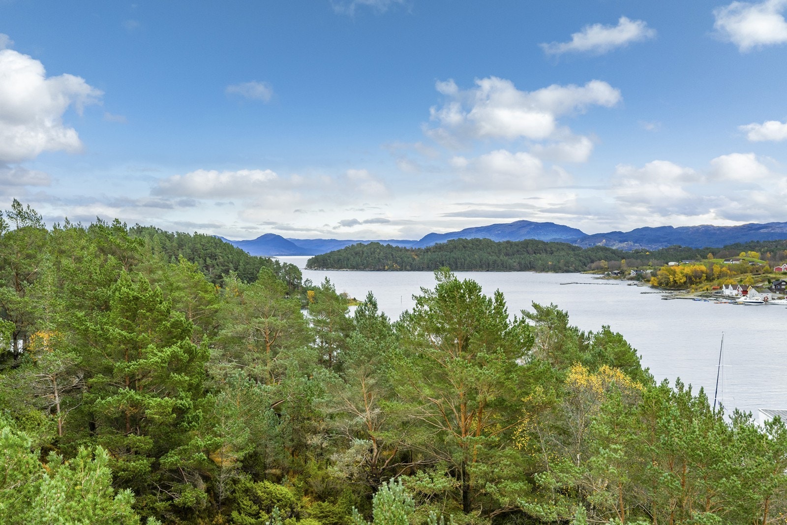 Fra tomten og området rundt Galleribilde