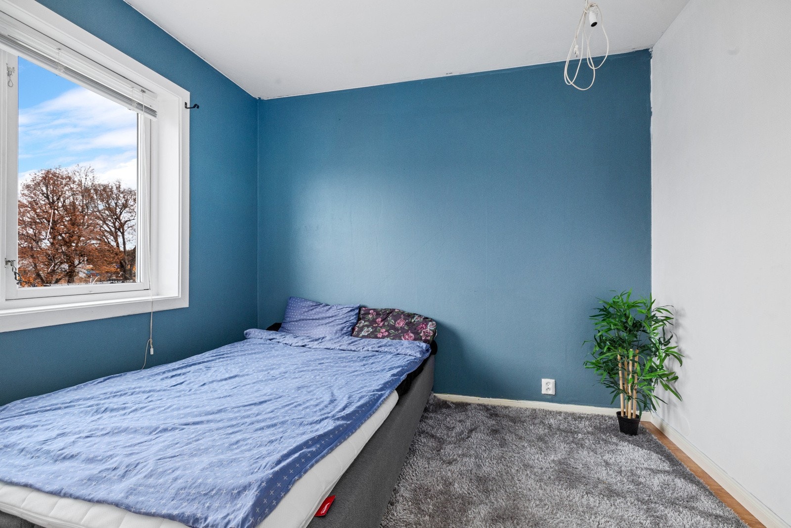 Soverom Galleribilde