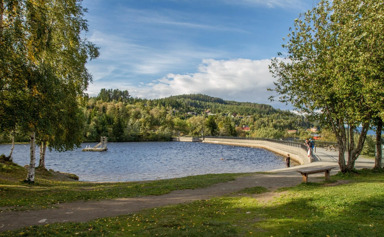 Innover mot Bymarka finner du Theisendammen som et er svært attraktivt badeområde med både flytebrygge og strand. Galleribilde