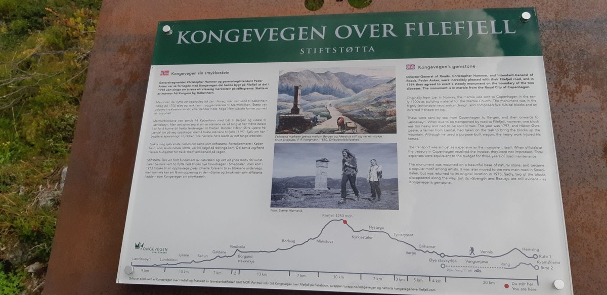 Kongevegen over Filefjell Galleribilde