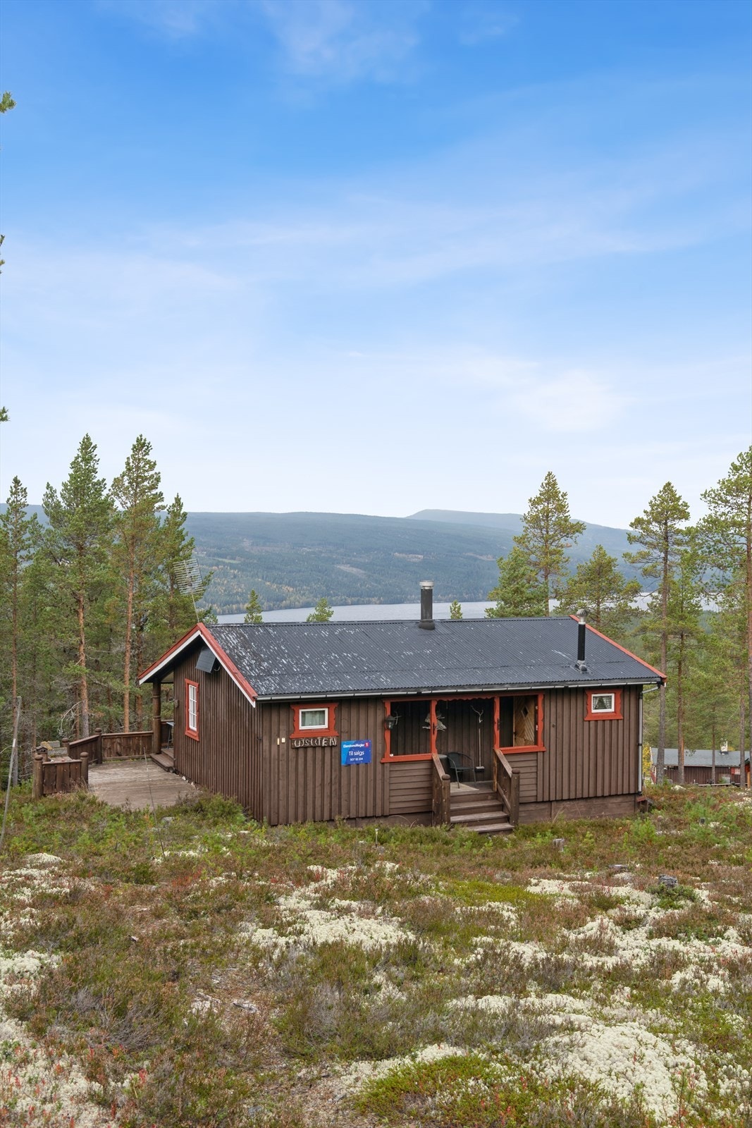 Velkommen til en hyggelig visning! Galleribilde