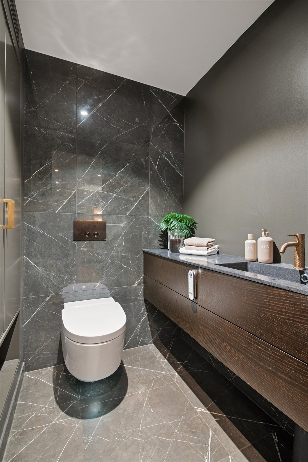 Separat toalett med dusjtoalett. Galleribilde