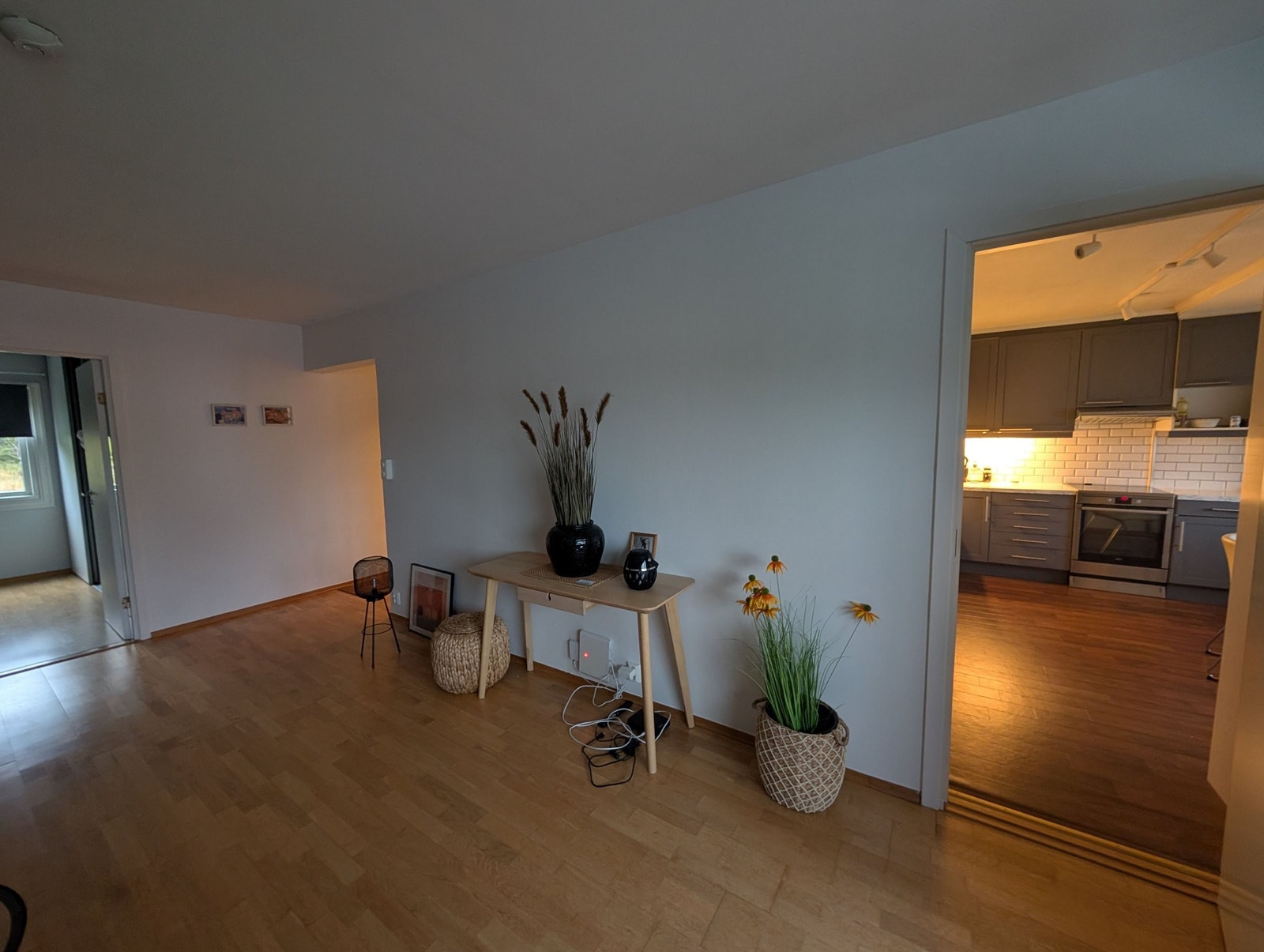 Åpen stor stue med inngang fra kjøkkenet, utgang til terrasse Galleribilde