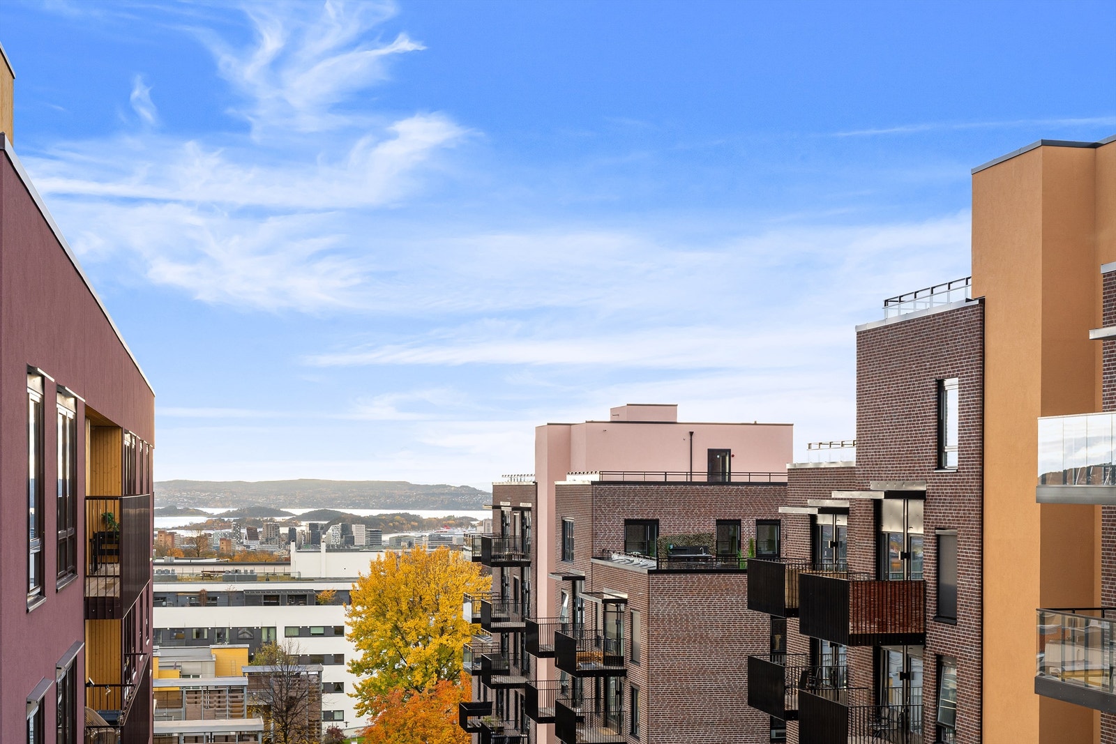 Flott utsikt mot sentrum og fjorden. Galleribilde