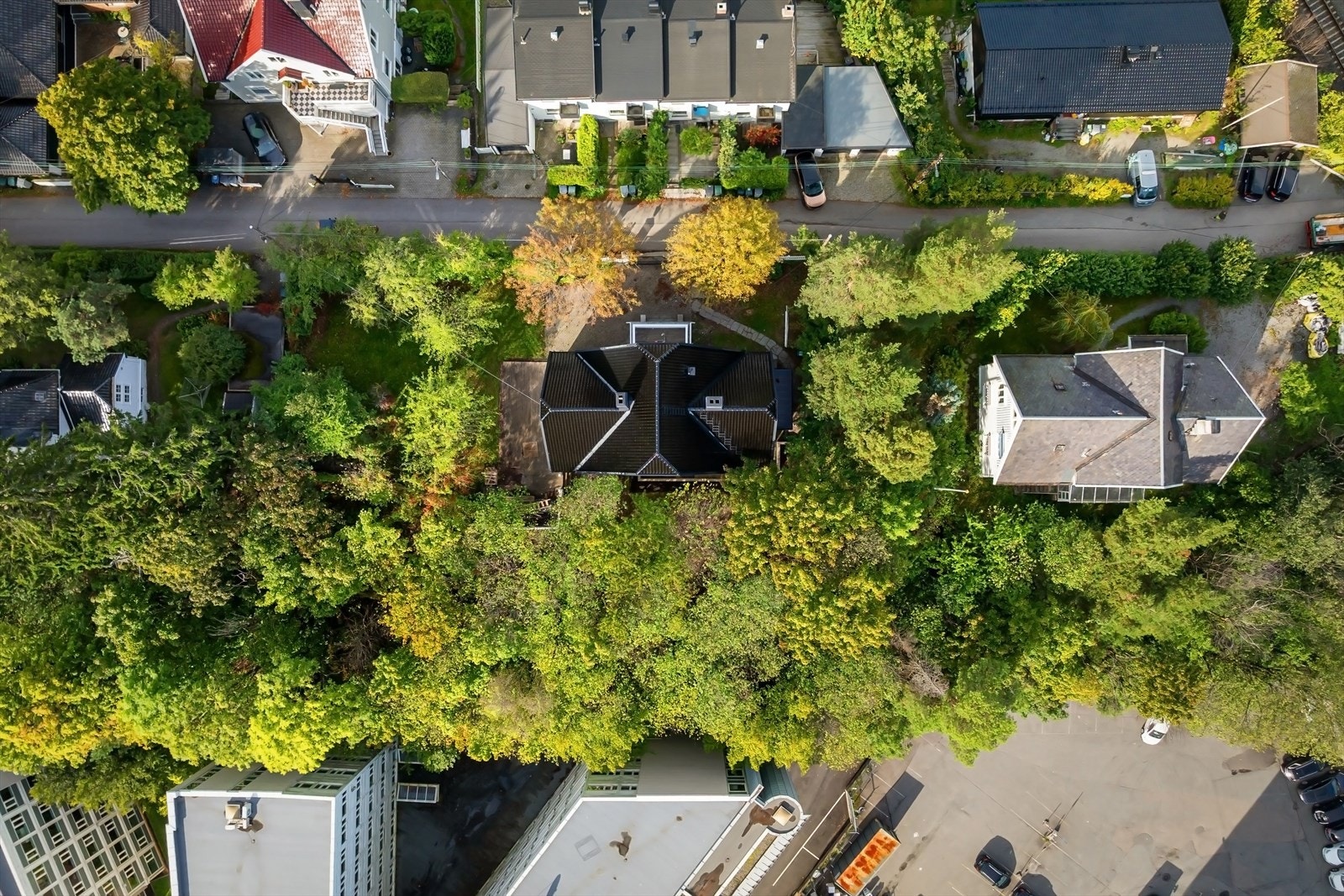 Grønt og frodig nabolag i eneboligstrøk. Galleribilde