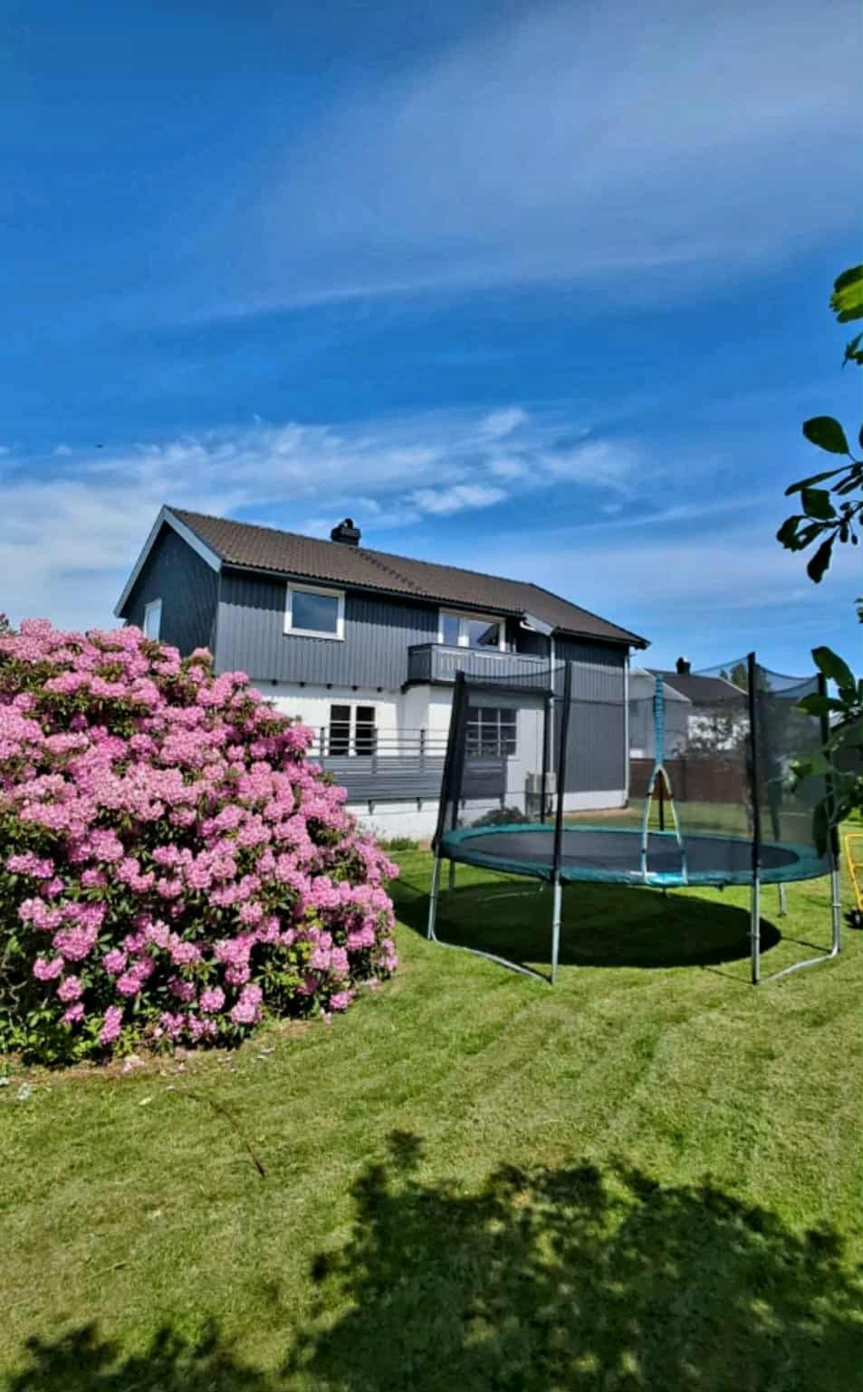 Selgers private bilde. Galleribilde